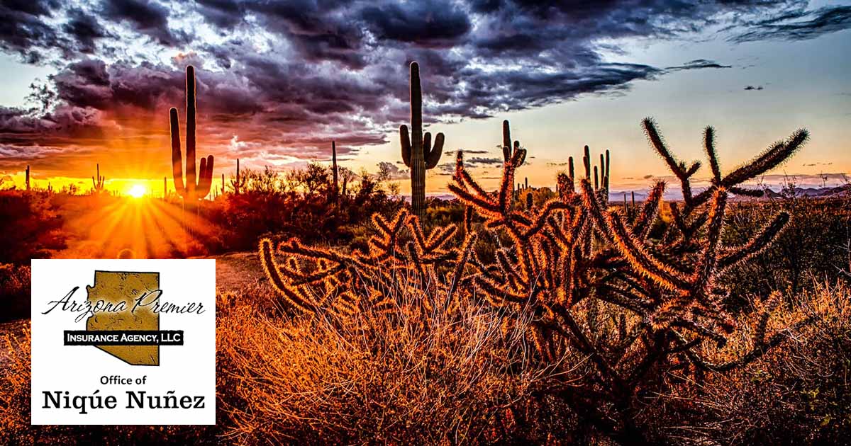 Arizona Premier Insurance - Office of Niqúe Nuñez